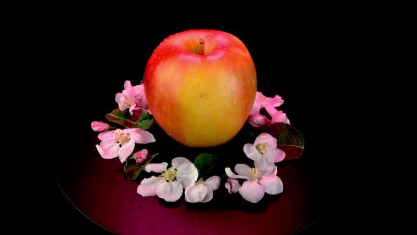 Red-yellow organic apple with apple flowers rotates around slowly on black background. — Αρχείο Βίντεο