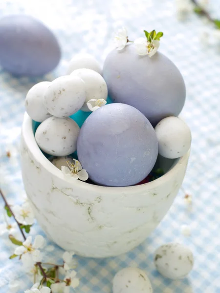 Uova di Pasqua con fiori di ciliegio — Foto Stock