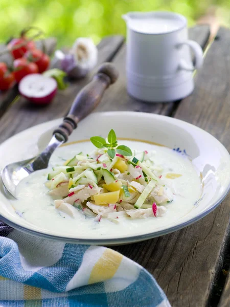 Wurstsuppe — Stockfoto