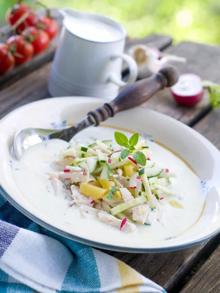 Cold meat soup — Stock Photo, Image