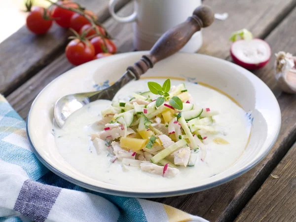 Kalte Suppe mit Fleisch und Gemüse — Stockfoto