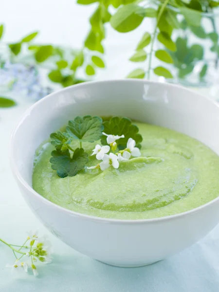 エンドウ豆のクリーム スープ — ストック写真