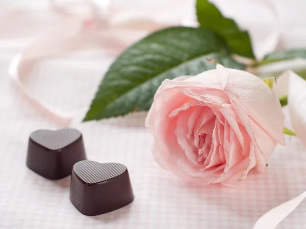 Roze roos met chocolade snoepjes — Stockfoto