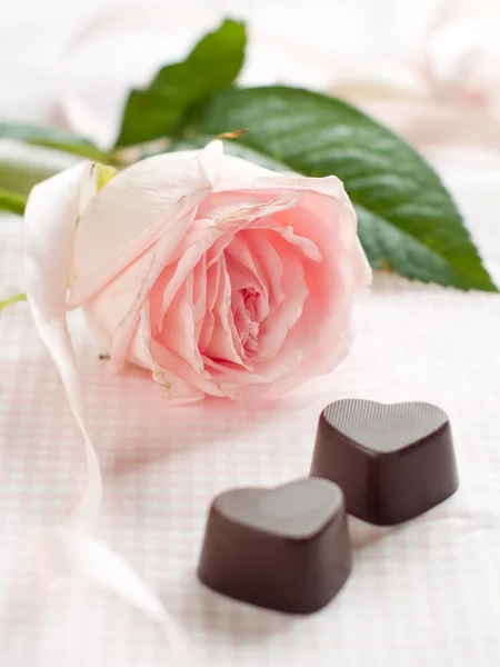 Roze roos met chocolade snoepjes — Stockfoto