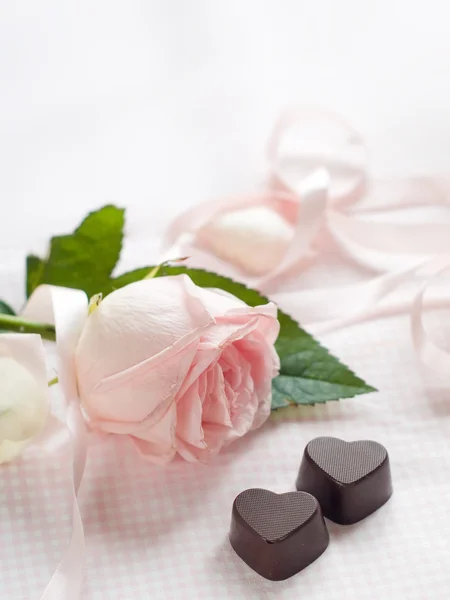 Pink rose with chocolate candies — Stock Photo, Image