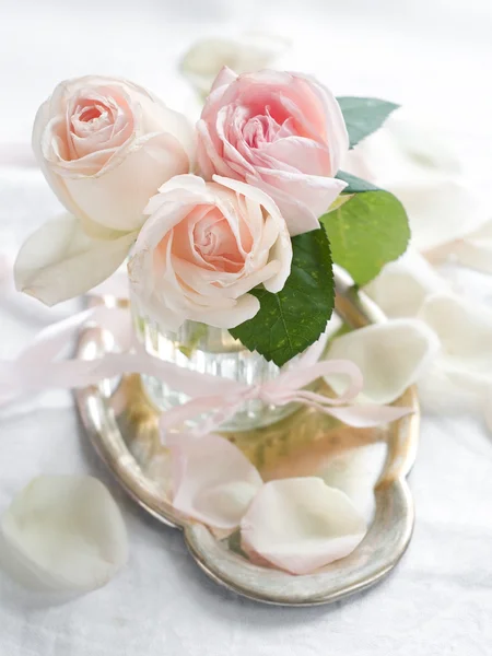 Кремовые розы — стоковое фото