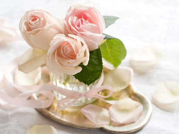 Rosas crema — Foto de Stock