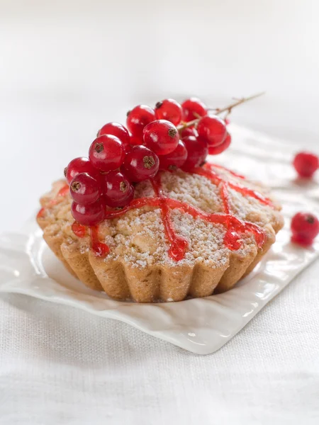 Torta de groselha vermelha — Fotografia de Stock