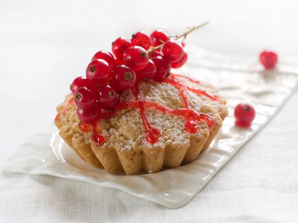 Красный смородиновый пирог — стоковое фото