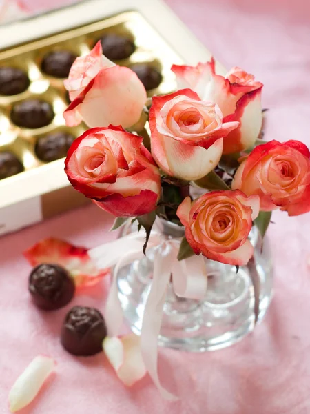 Beautiful roses — Stock Photo, Image