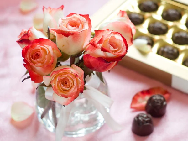 Beautiful roses — Stock Photo, Image