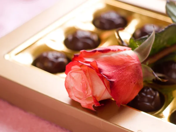 Prachtige roos en chocolade snoepjes — Stockfoto