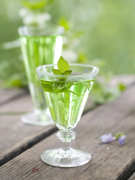 Herbal liquor — Stock Photo, Image