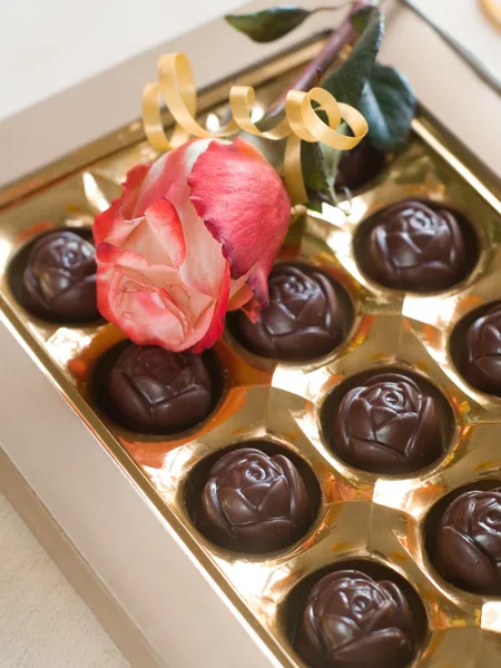 Rose et bonbons au chocolat — Photo