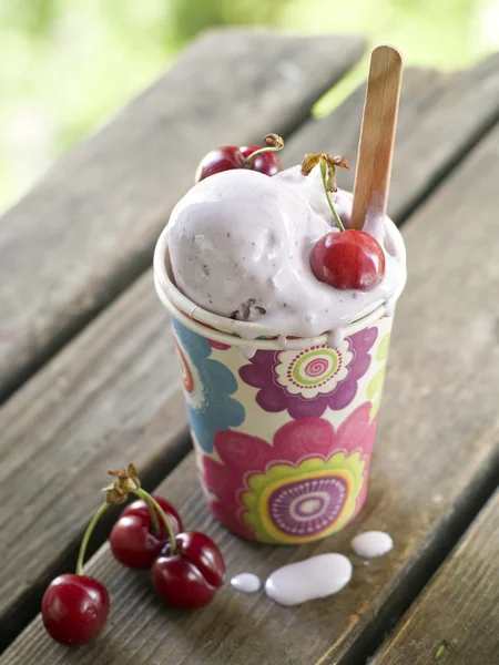 Gyümölcs fagylalt — Stock Fotó