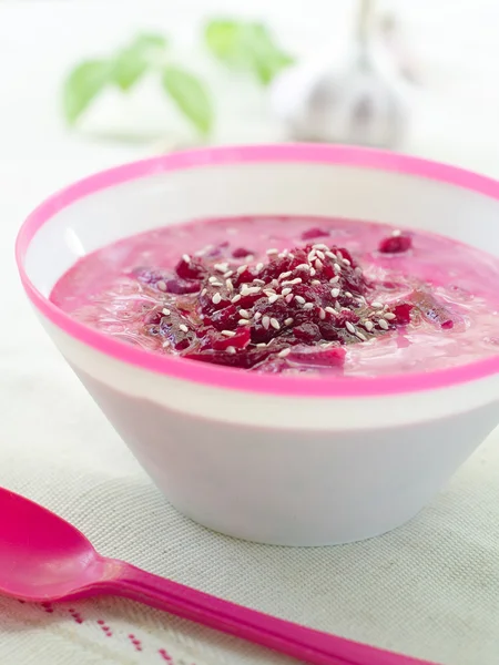 Kalte Gemüsesuppe — Stockfoto