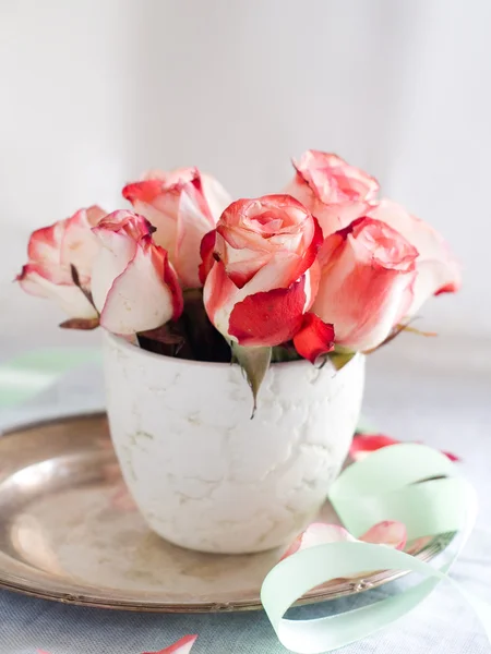 De belles roses — Photo