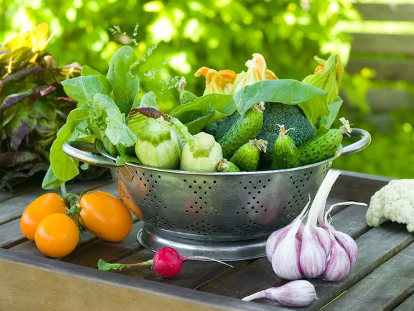 Produtos hortícolas frescos — Fotografia de Stock