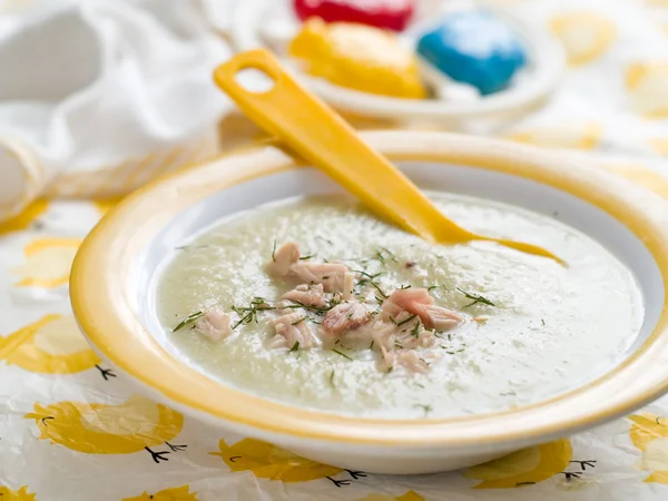 Pürierte Gemüsesuppe mit Huhn — Stockfoto