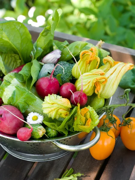 Produtos hortícolas frescos — Fotografia de Stock