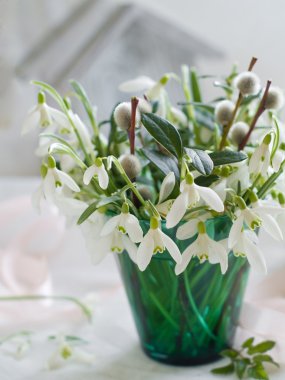 kardelen ve Söğüt