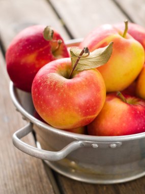 kabın içinde elmalar