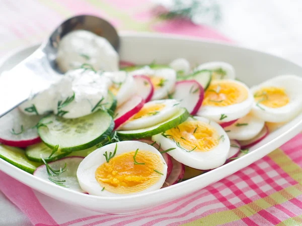 Sallad med gurka, rättika och ägg — Stockfoto