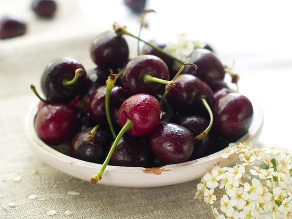 Cherry on plate — Stock Photo, Image