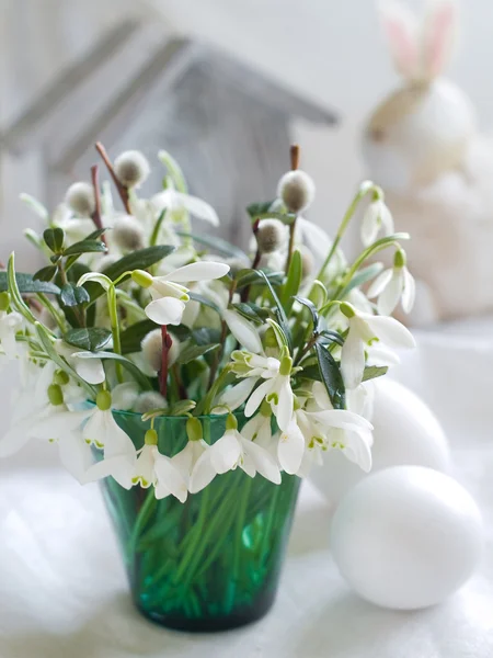 Snowdrops and willow — Stock Photo, Image