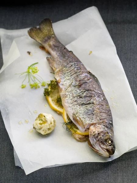 Gegrilde forel — Stockfoto