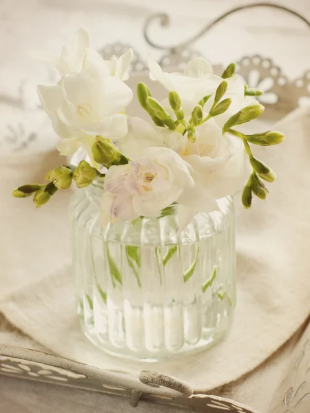 White freesia flowers — Stock Photo, Image