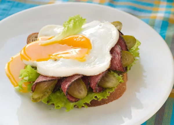 Sandwich met gebakken ei — Stockfoto