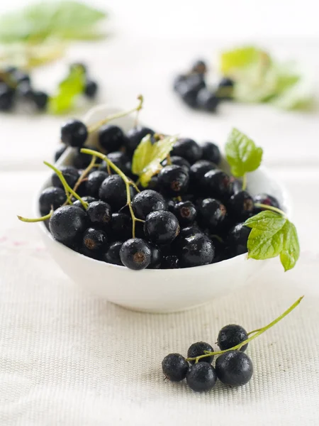 Blackcurrant in bowl — Stock Photo, Image