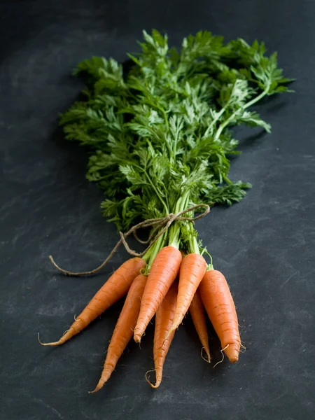 Frische Karotten — Stockfoto