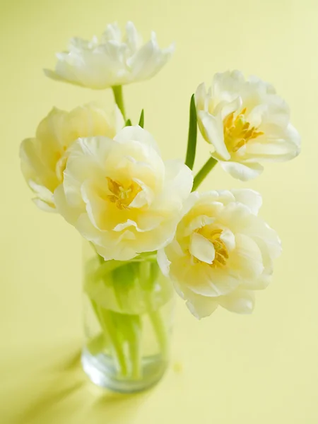 Тюльпаны в стекле — стоковое фото
