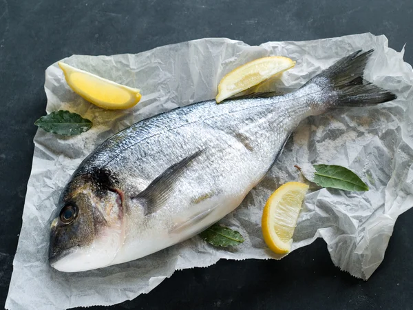 Frischer Fisch — Stockfoto