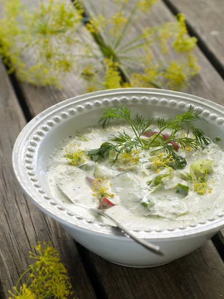 Zupa na zimno — Zdjęcie stockowe