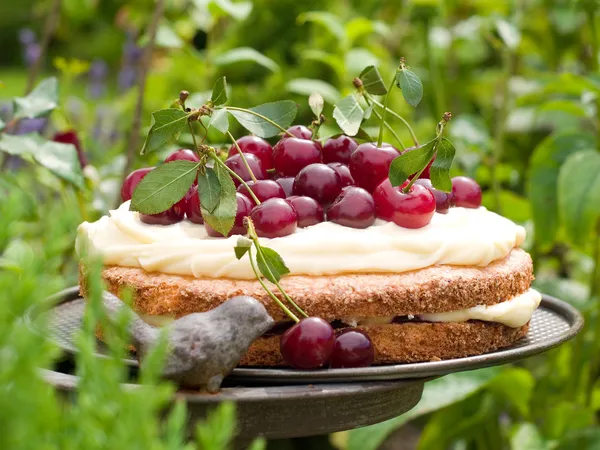 Torta de cereja — Fotografia de Stock