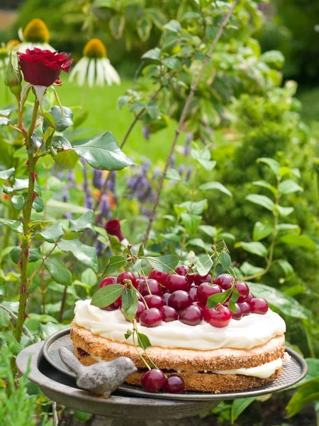 Torta di ciliegie — Foto Stock