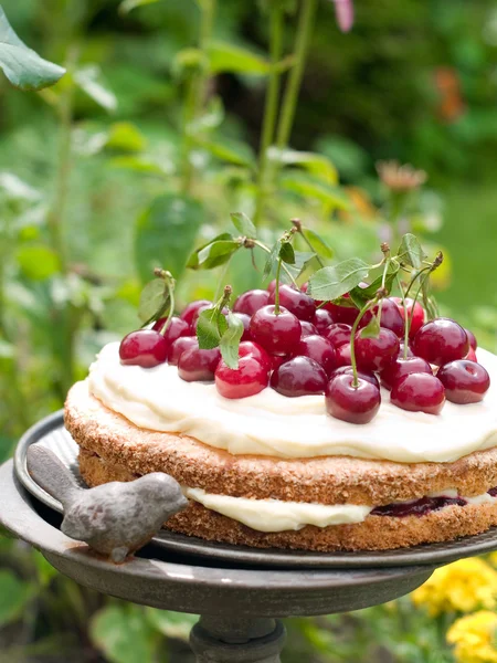 Tarta de cereza — Foto de Stock