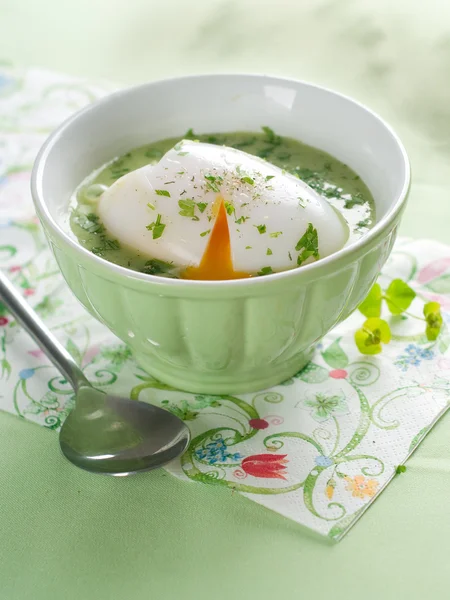 Vegetable cream soup — Stock Photo, Image