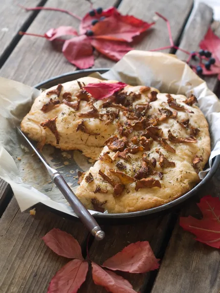 Focaccia με chanetrelle — Φωτογραφία Αρχείου