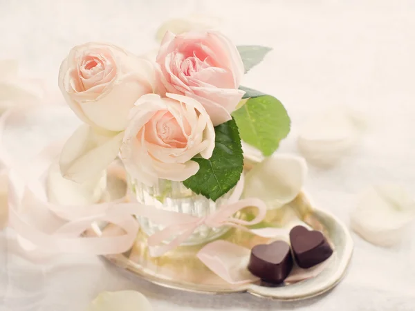 Crème rozen — Stockfoto