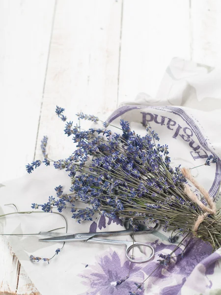 Lavanda — Foto de Stock