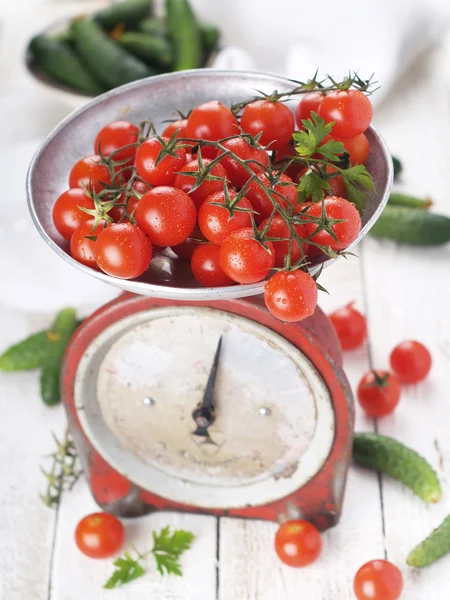 Taze sebze — Stok fotoğraf