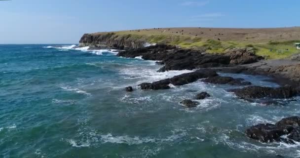 在澳大利亚新南威尔士州南海岸的Kiama附近的Kaleula Head 无人驾驶飞机拍摄的海浪冲撞海岸线的镜头 — 图库视频影像