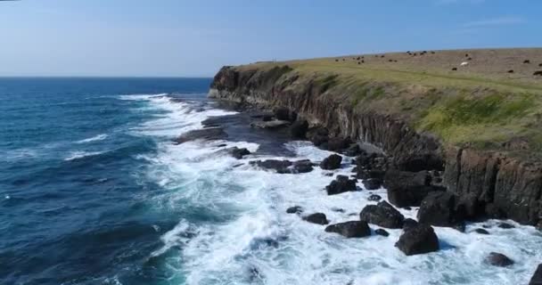 Drone Luchtbeelden Van Golven Die Neerstorten Tegen Kustlijn Van Kaleula — Stockvideo