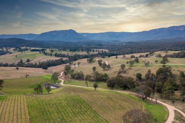 Avustralya 'daki Mavi Dağlar' daki Megalong Vadisi 'ndeki üzüm bağlarının ve ormanın insansız hava aracı fotoğrafı.