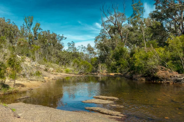 Foto Van Megalong Creek Omringd Door Eucalyptus Bomen Megalong Valley — Stockfoto