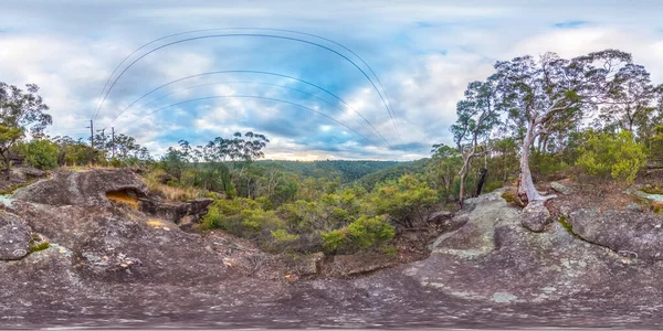 オーストラリアのニューサウスウェールズ州地方のブルーマウンテンでサッサフラス ガリーの球面パノラマ写真 — ストック写真